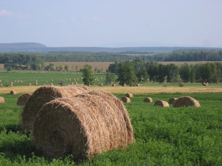 Farm land scenery